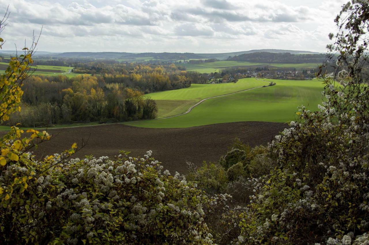 Le Lodge des Bruyères Mont-Notre-Dame Esterno foto